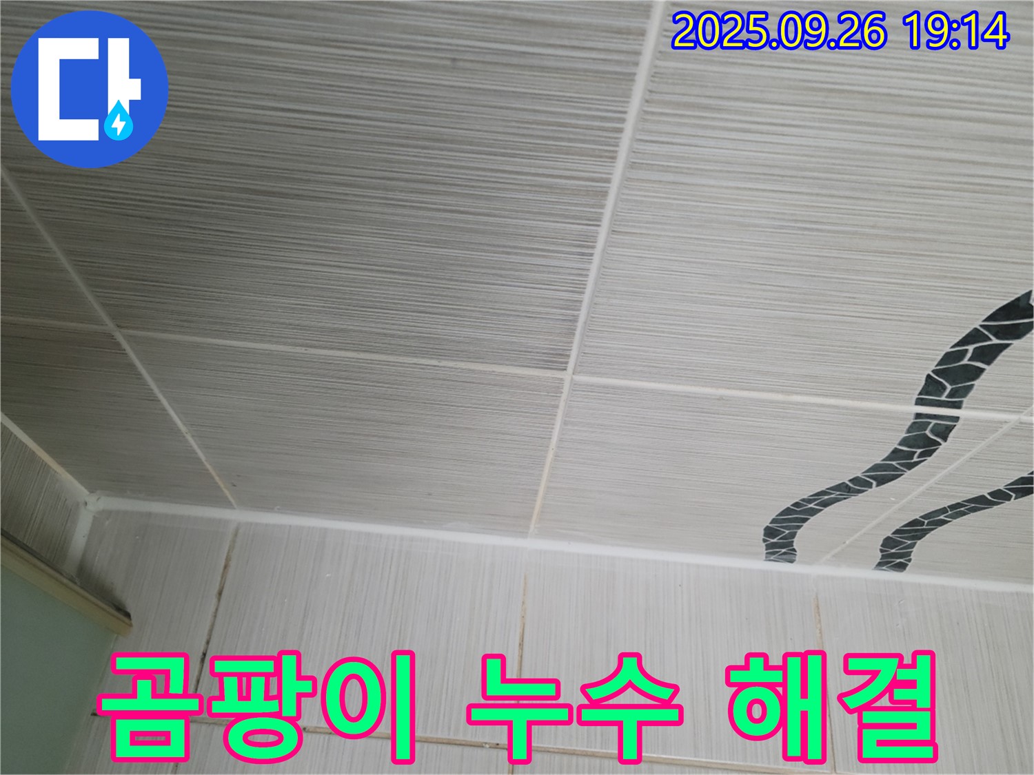 곰팡이 누수 해결 - 곰팡이와 누수, 이제 안녕!