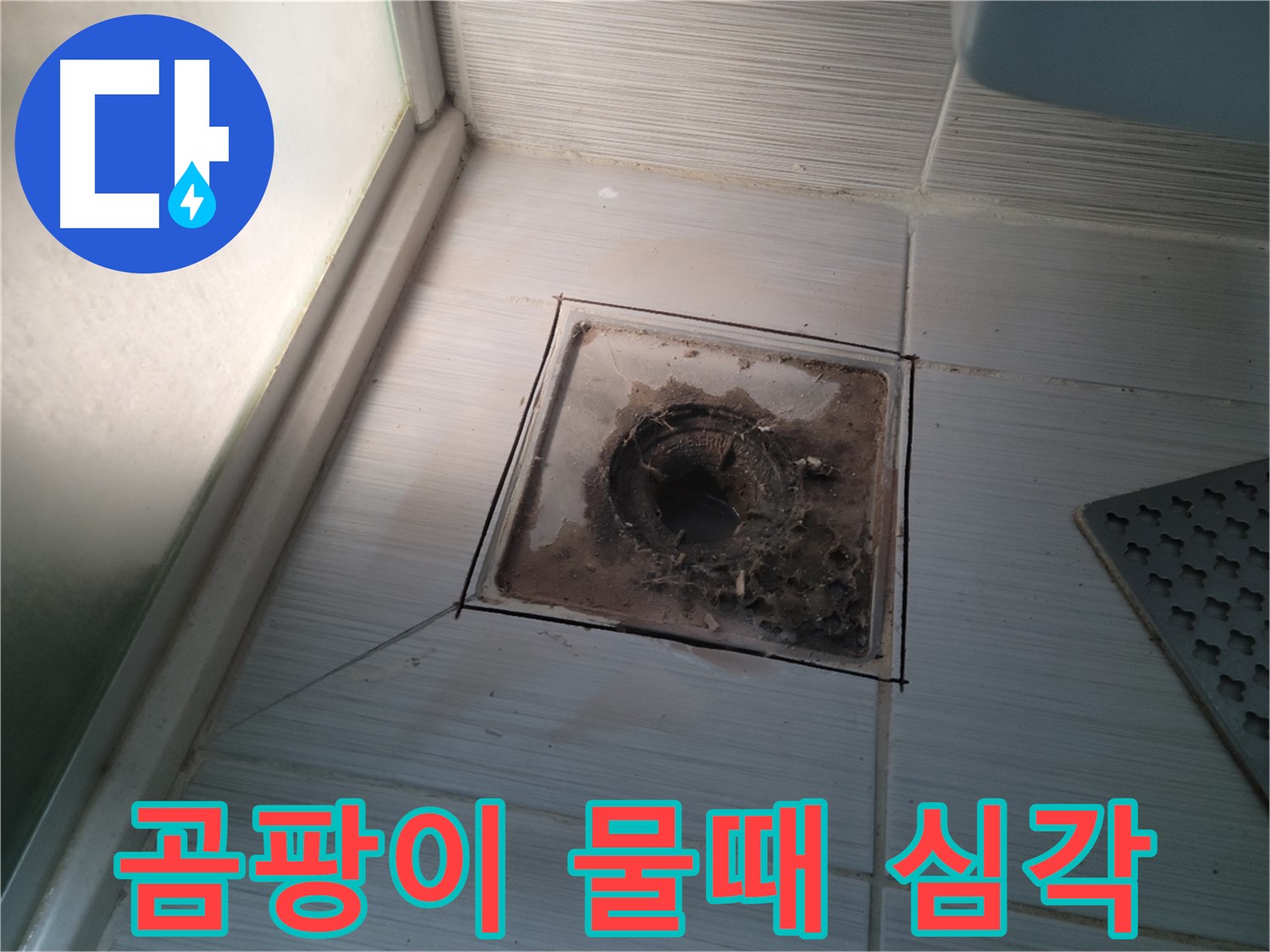 욕실 배수구 주변 곰팡이와 물때가 심각한 상태