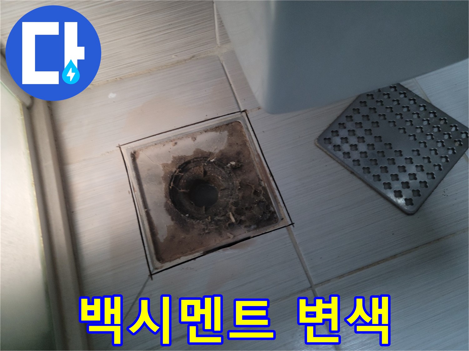 욕실 배수구 - 백시멘트 변색 - 악취 원인 및 누수 흔적 탐지