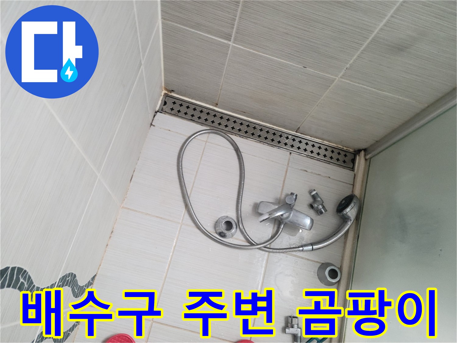 샤워기 배수구 주변 곰팡이 및 물때 제거 필요 - 청결 유지