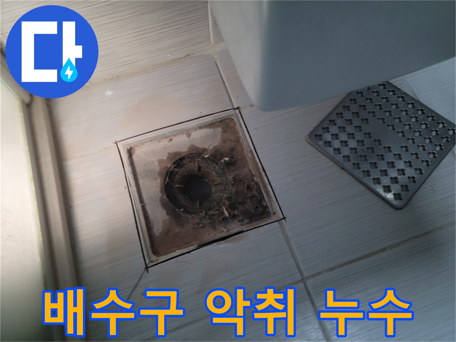 욕실 배수구 - 악취 발생 - 누수와의 연관성 진단