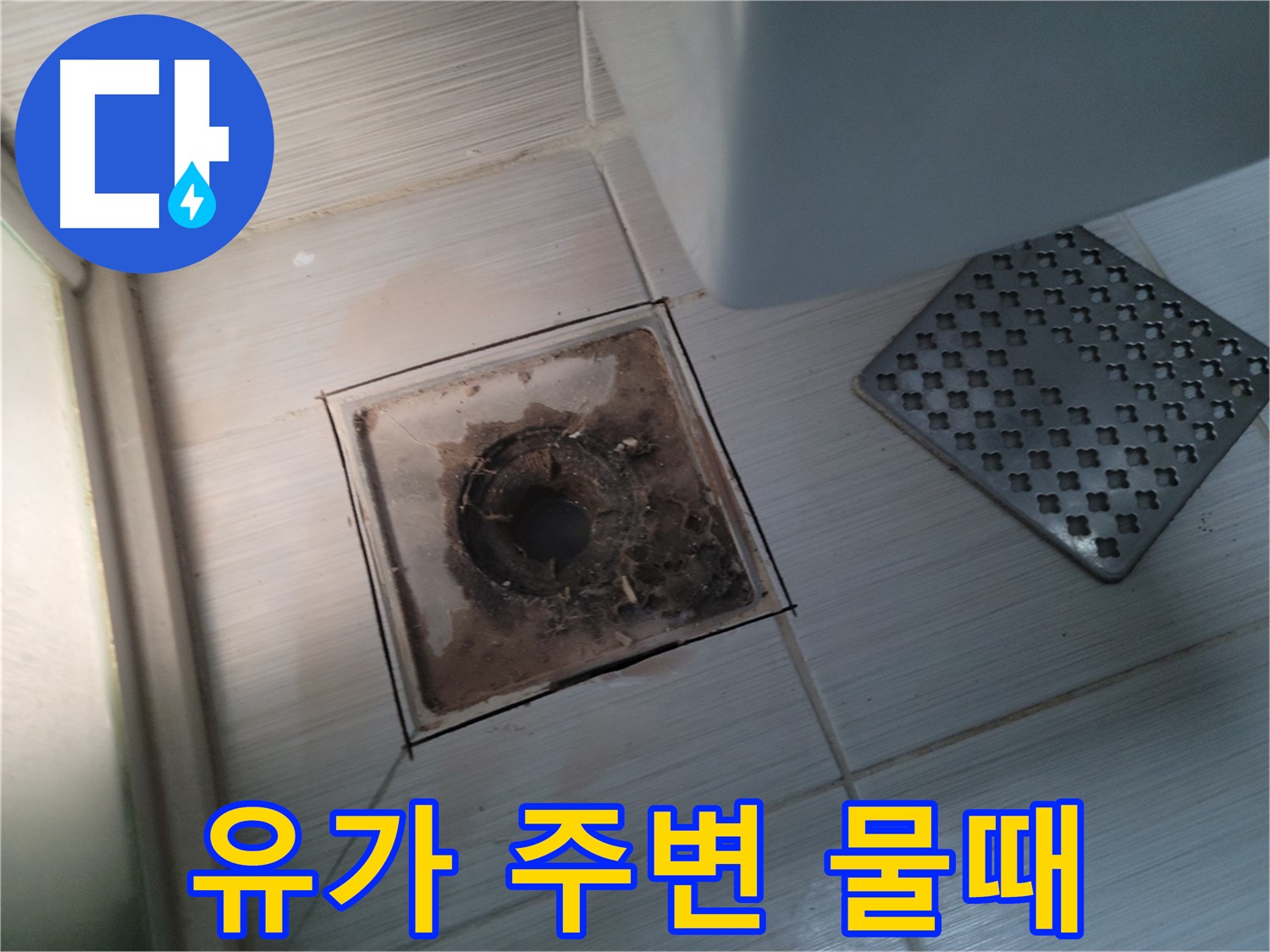 욕실 유가 - 물때 발생 - 악취 원인 및 누수 가능성 점검