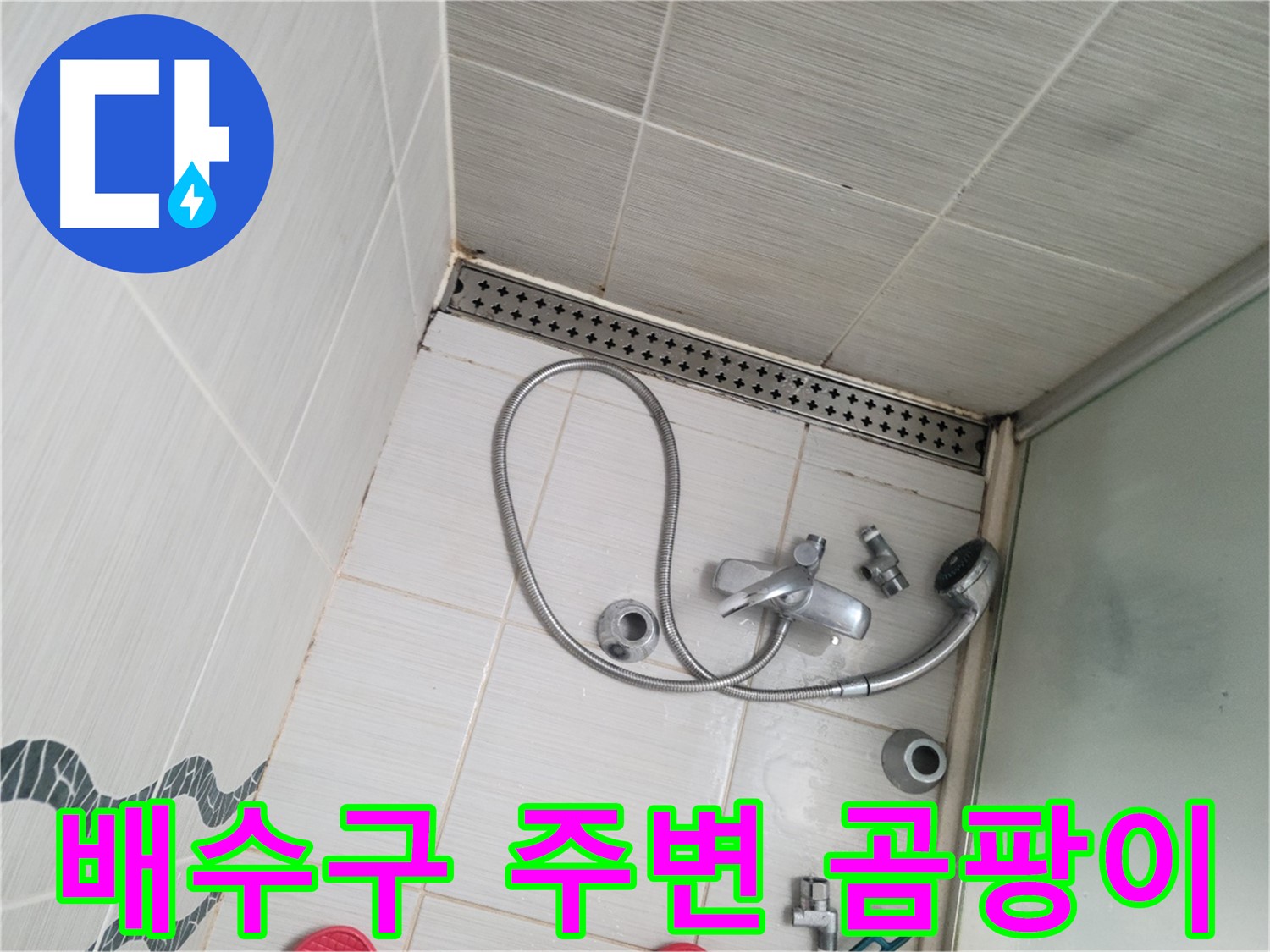 샤워기 배수구 주변 곰팡이와 물때 - 청소 필요