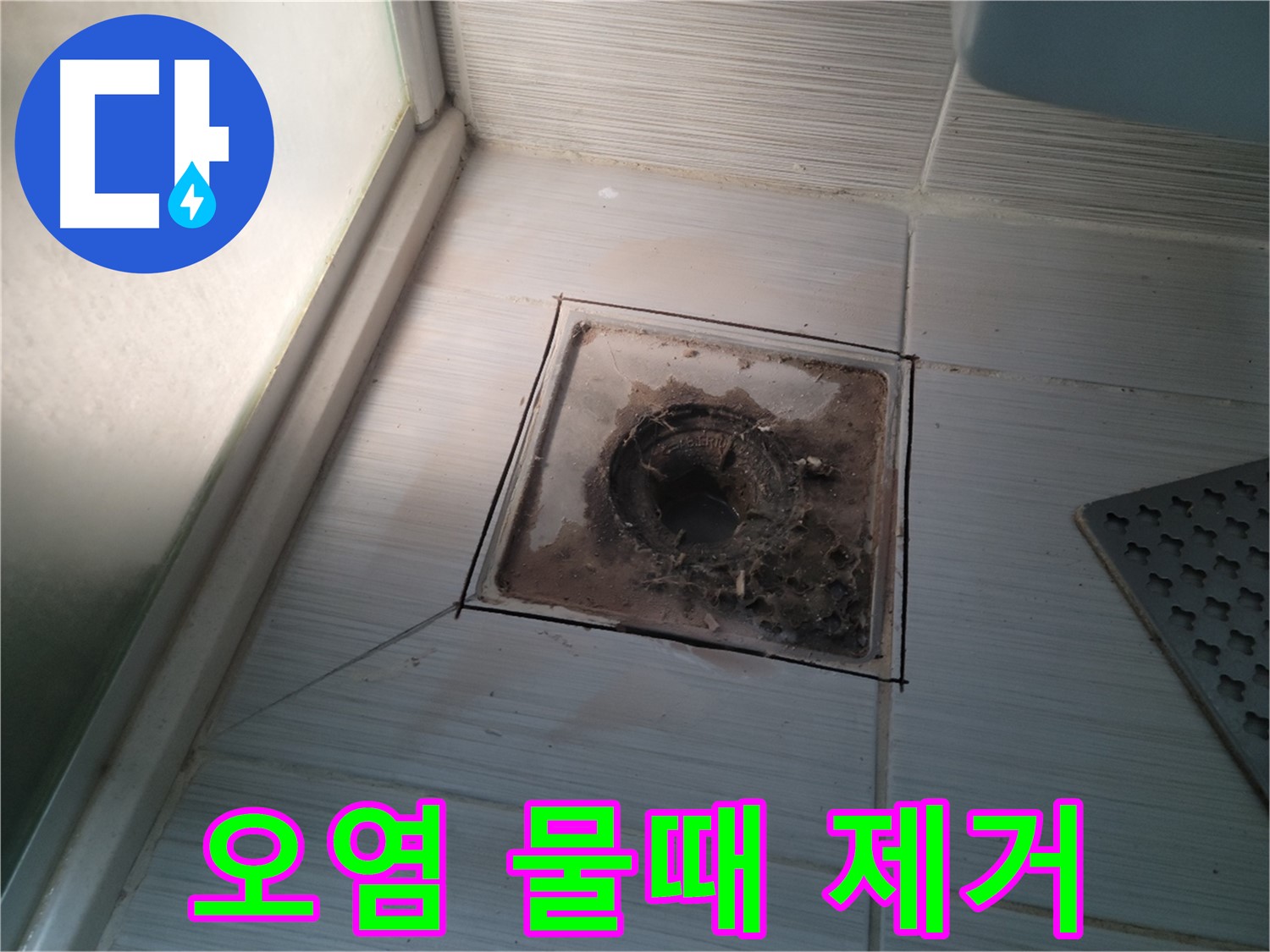 욕실 배수구 주변 심각한 오염과 물때 제거 시급
