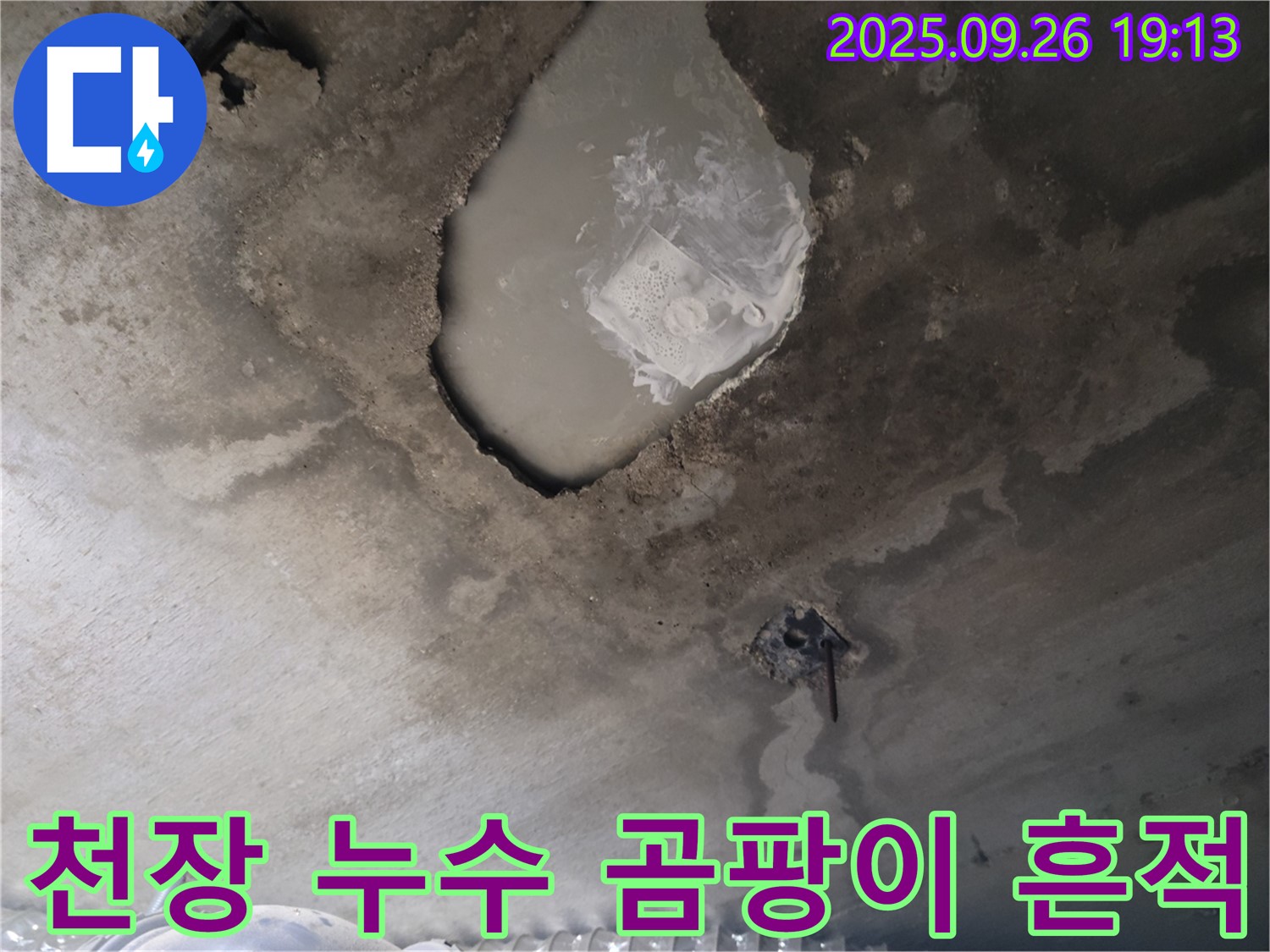 천장 누수 - 곰팡이 흔적 - 누수 장기화