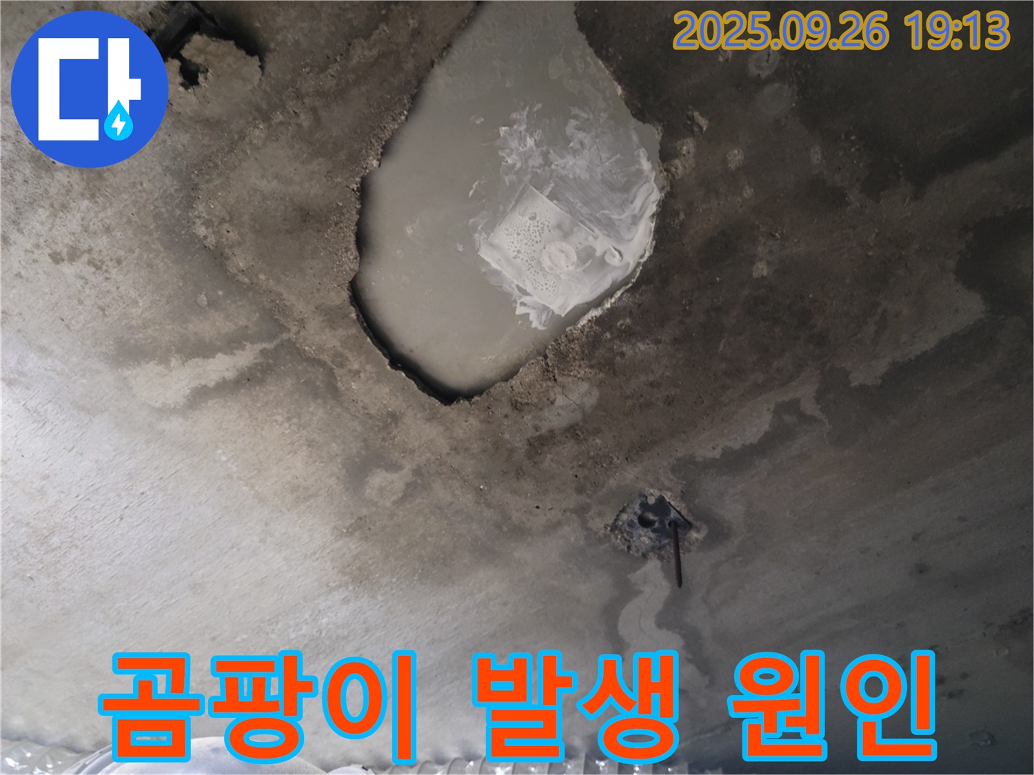콘크리트 누수 - 곰팡이 발생 - 건강 위협