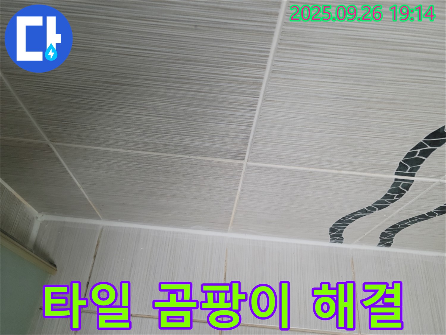 타일 곰팡이 고민 해결 - 전문가의 손길!