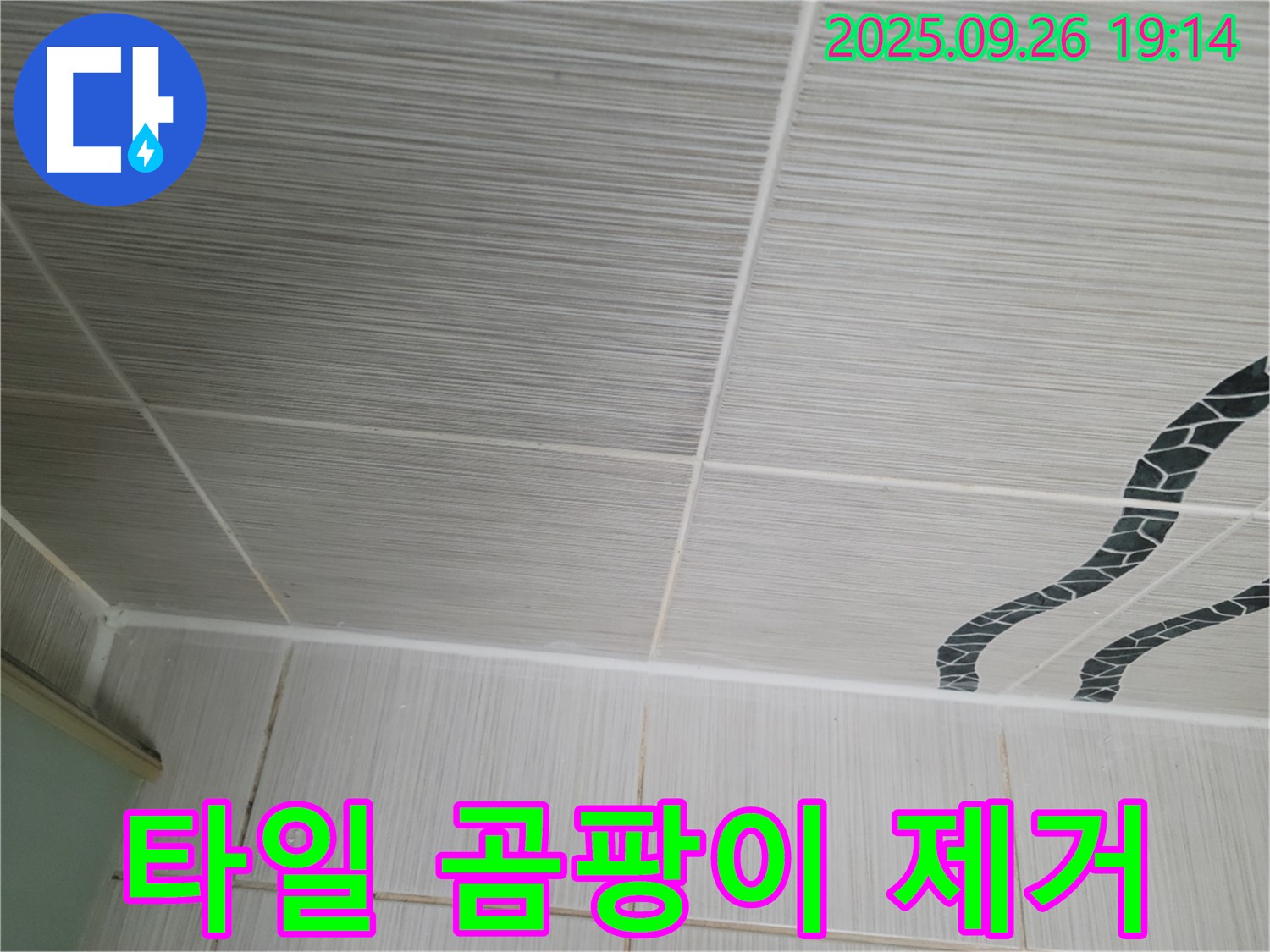 타일 곰팡이 제거 - 곰팡이 없는 깨끗한 공간