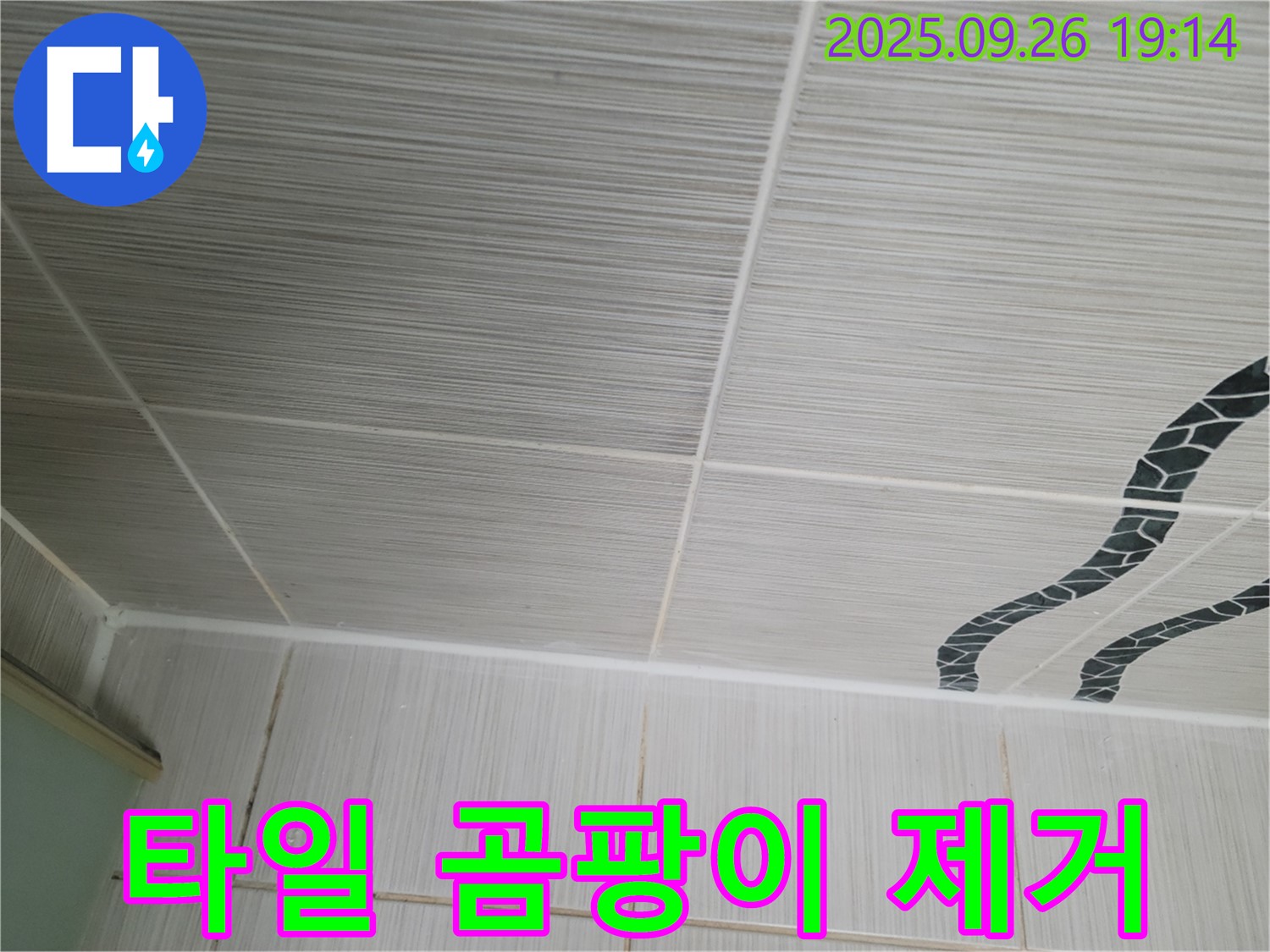 타일 곰팡이 제거 - 깨끗하고 쾌적한 욕실로!