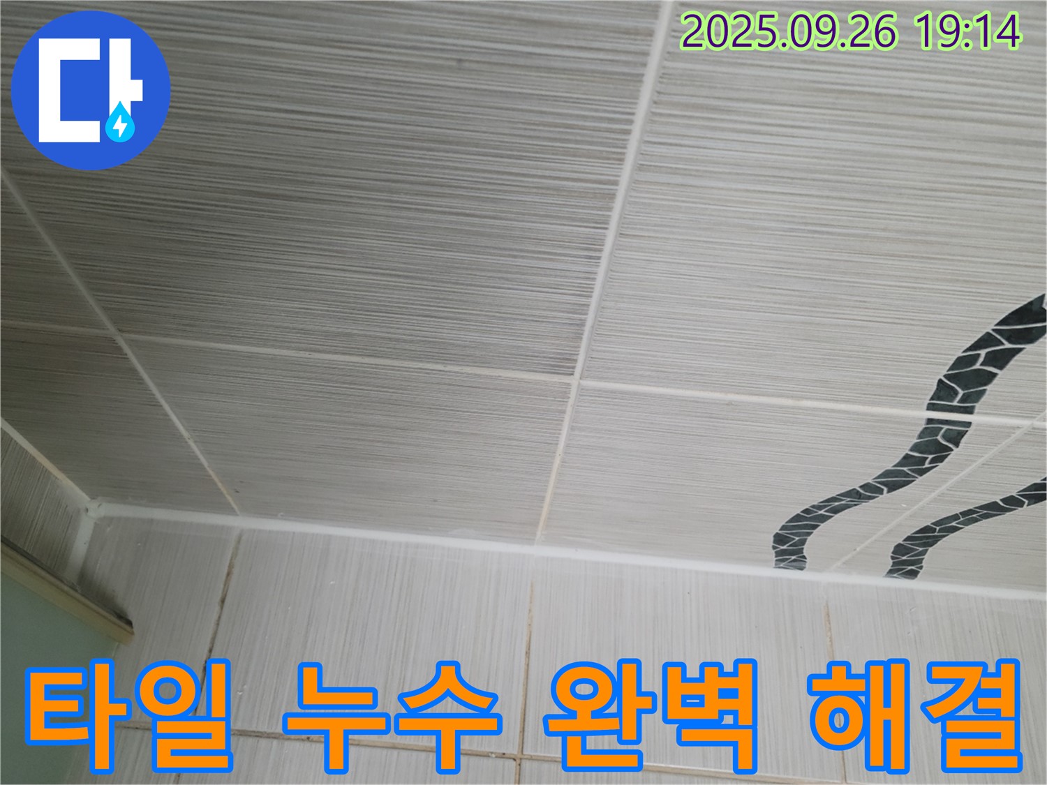 타일 누수 완벽 해결 - 최고의 선택!