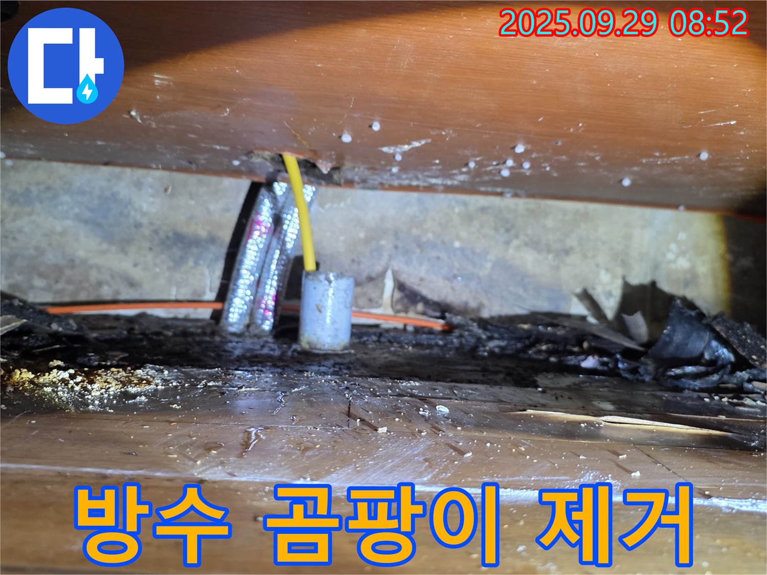 완벽 방수, 곰팡이 제거까지! - 양천구 천장 누수 공사
