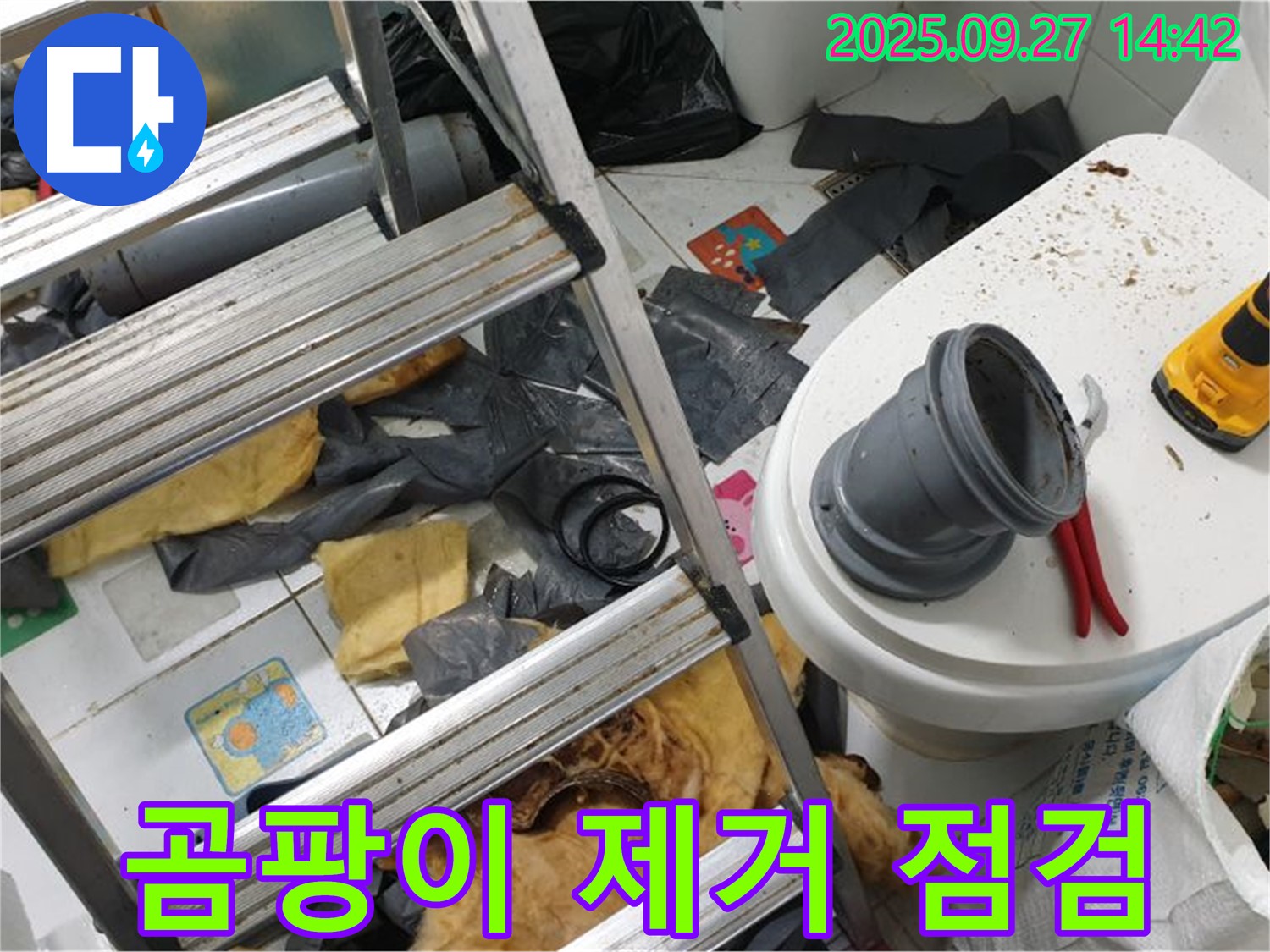 결로 현상 - 곰팡이 제거 및 환기 시스템 점검
