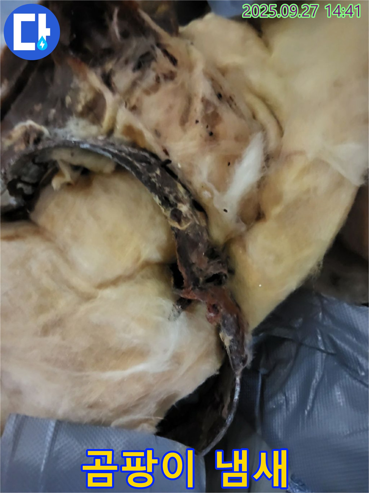 곰팡이 냄새 - 숨겨진 누수 의심 - 양주시 누수