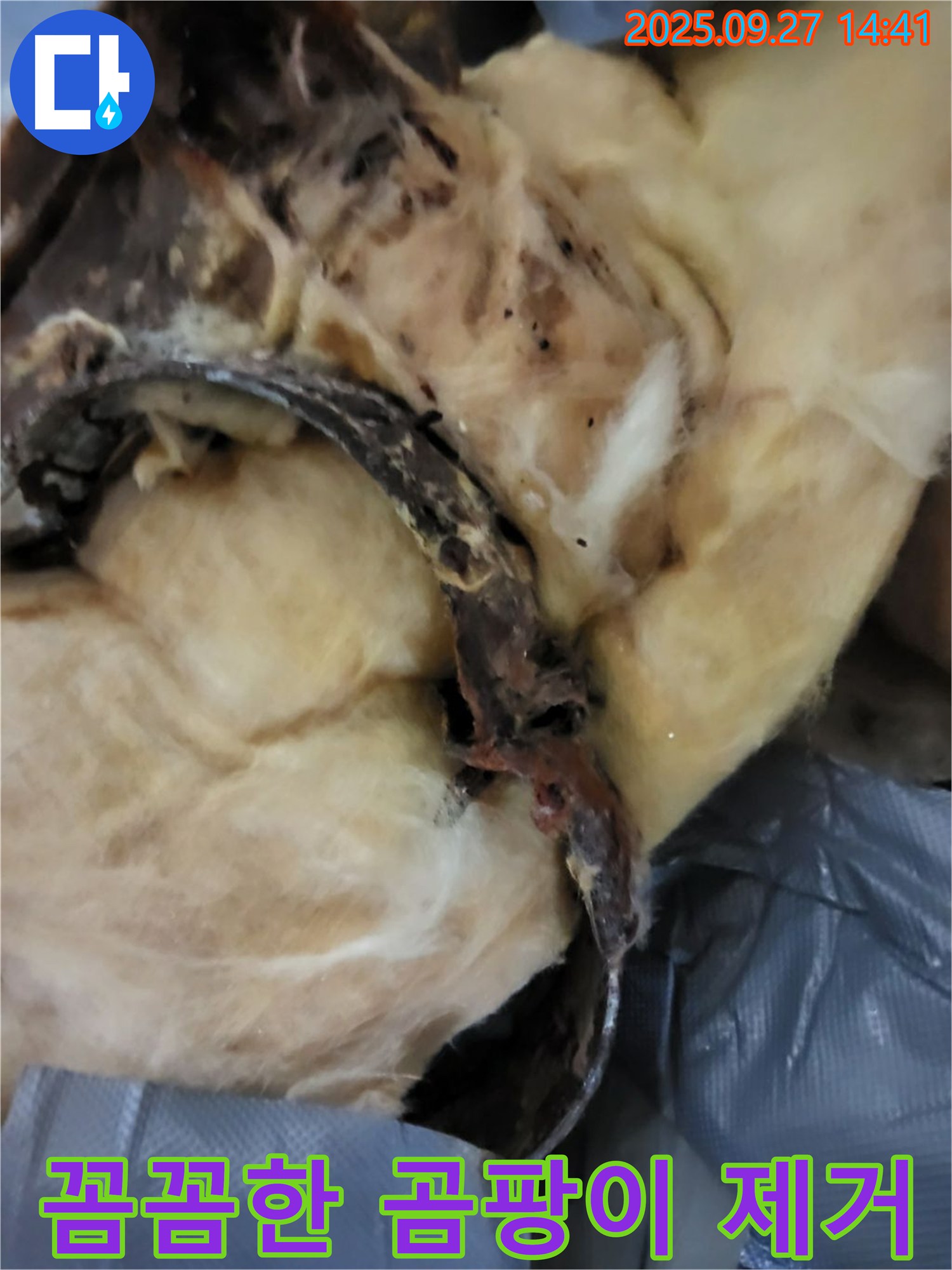 꼼꼼한 곰팡이 제거 - 광적면 광석리 누수