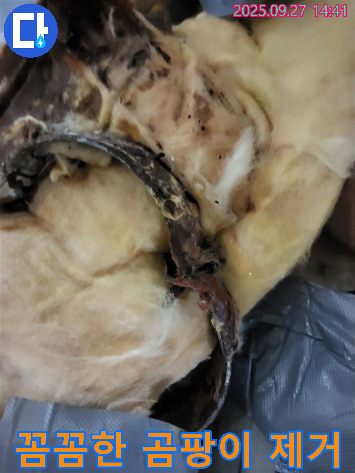 꼼꼼한 곰팡이 제거 - 광적면 광석리 누수