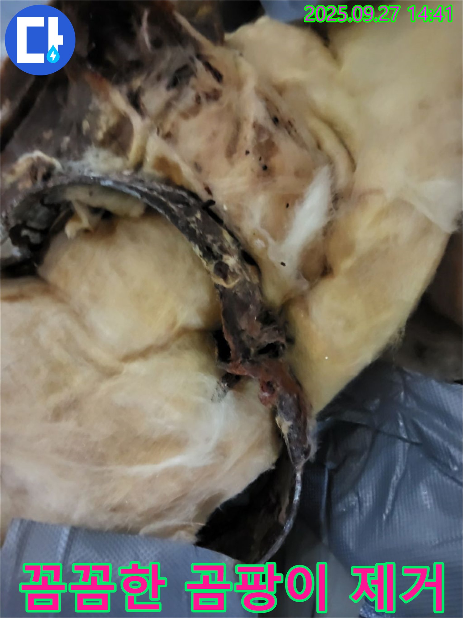 꼼꼼한 곰팡이 제거 - 광적면 광석리 누수