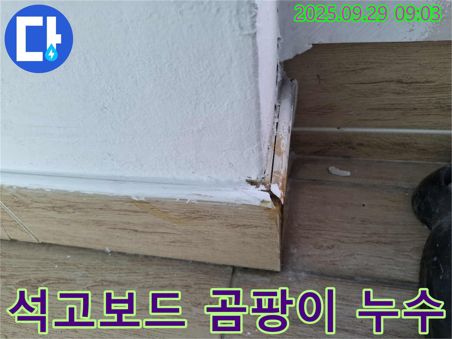 석고보드 곰팡이 - 누수와 결로의 결과