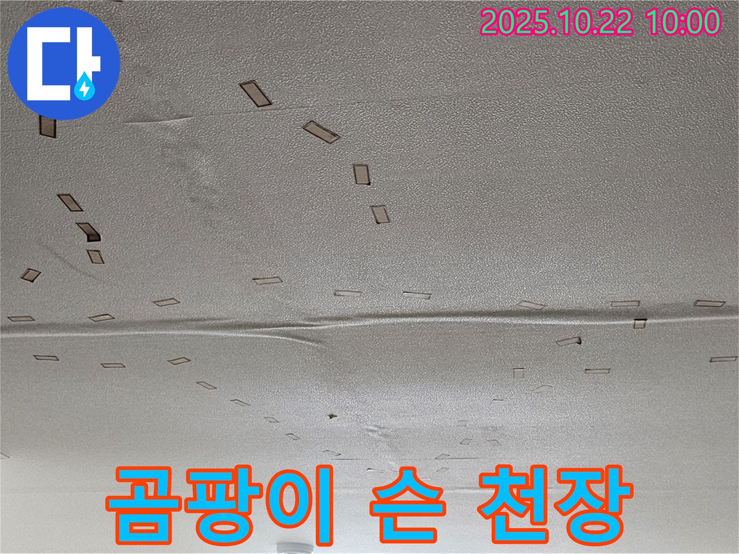 곰팡이 슨 천장 - 석고보드에 곰팡이가 심하게 슨 모습입니다.