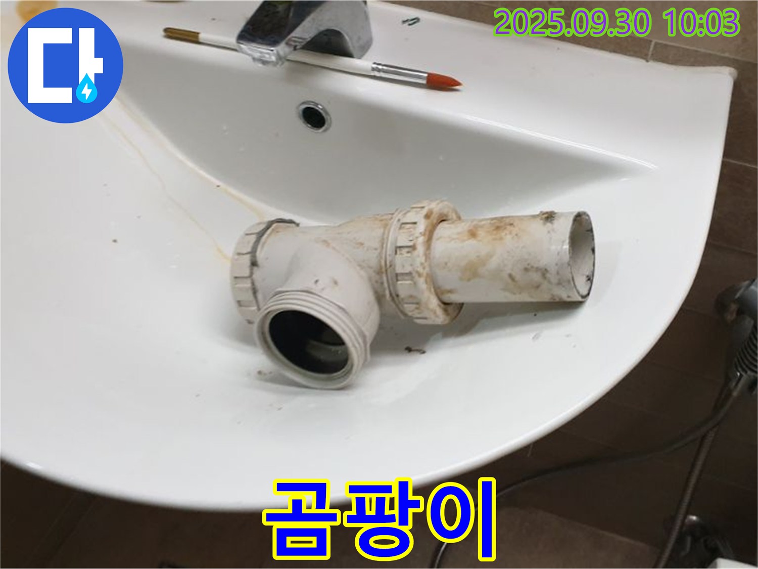 세면대 누수 곰팡이 - 건강에 해로운 곰팡이, 광적면 석우리 누수