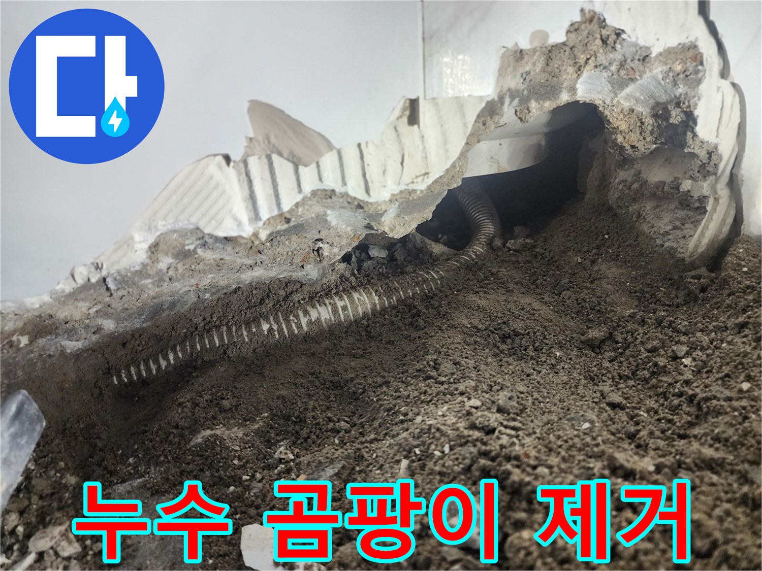 래미안 당산1차 아파트 욕조 누수 - 곰팡이 발생 시 제거 및 방수 공사 재시공 필요