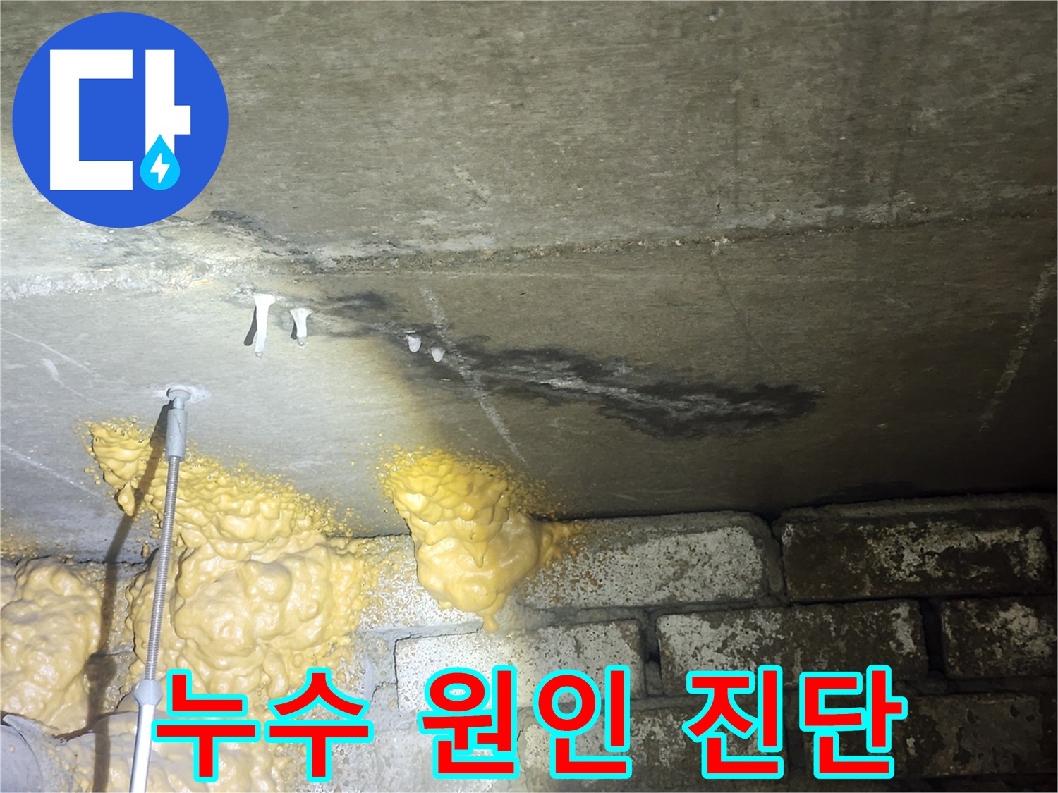 영등포 누수 - 래미안당산1차 누수 원인 꼼꼼히 진단하는 모습