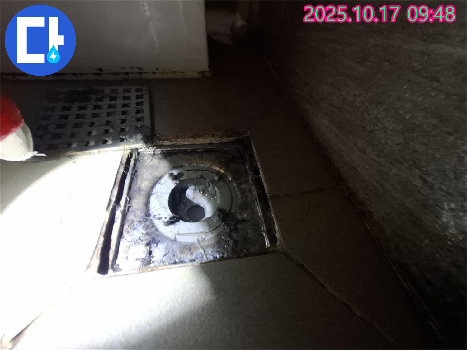 판교 삼평동 봇들마을 - 욕실 배수구 주변 배수구 덮개 파손 및 이물질 끼임 상태를 꼼꼼하게 점검하고 있습니다.