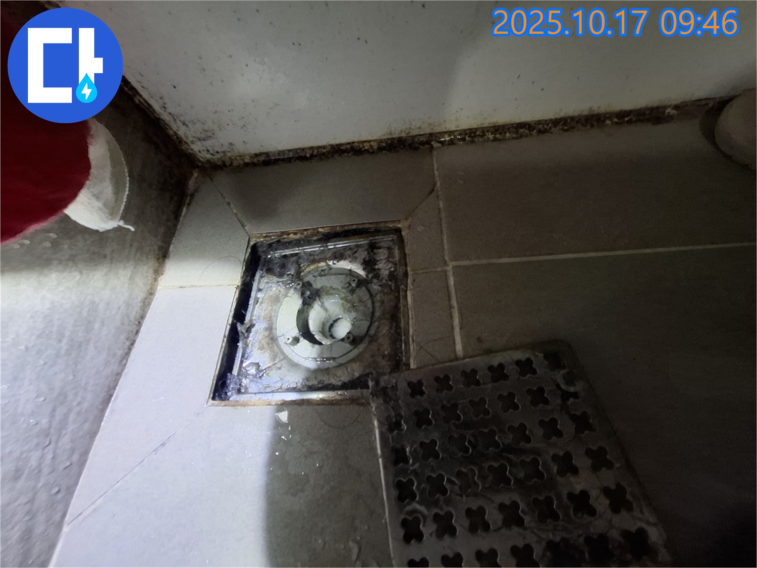 분당 판교 봇들마을2단지 아파트 - 욕실 배수구 곰팡이 제거 - 완벽 방수 공사로 누수 걱정 해결.