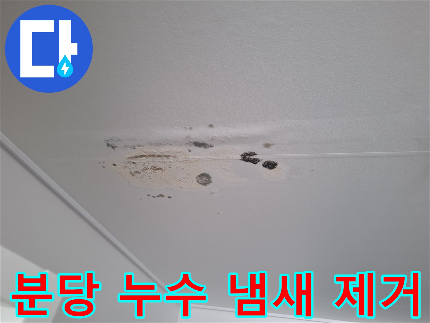 누수 곰팡이 - 냄새까지 싹 잡아드립니다