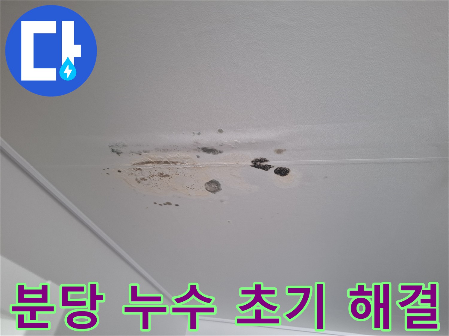 누수 곰팡이 초기 - 빠른 해결, 비용 절감 효과