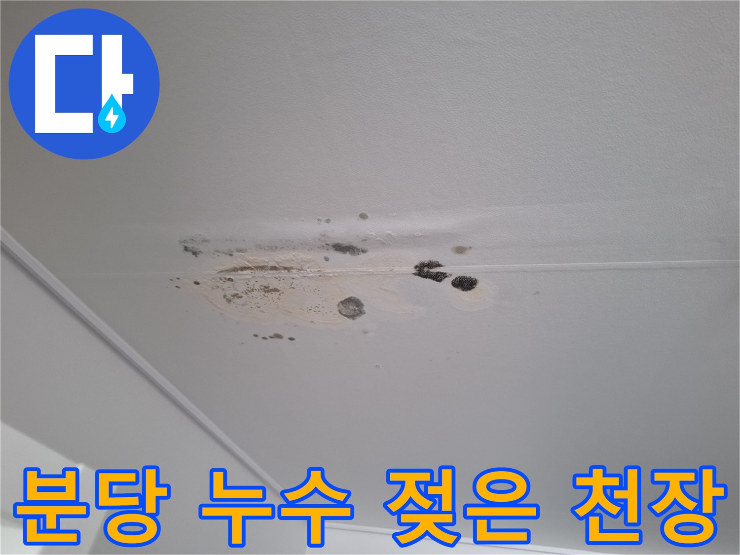 젖은 천장 - 누수 진행 중, 빠른 진단이 필수