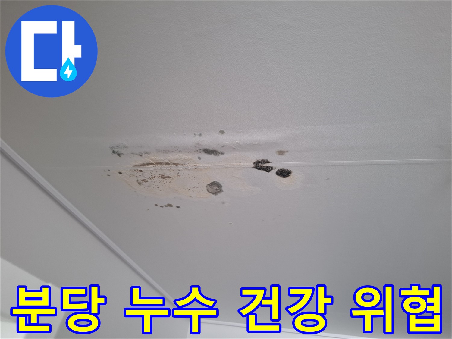 누수 곰팡이 - 건강을 위협하는 주범, 즉시 해결!