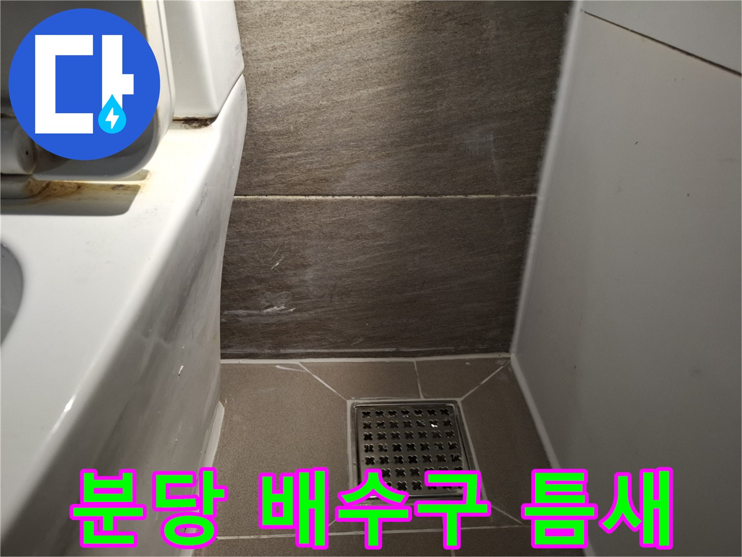 분당 화장실 배수구 주변 타일 틈새 오염 - 곰팡이 때문?