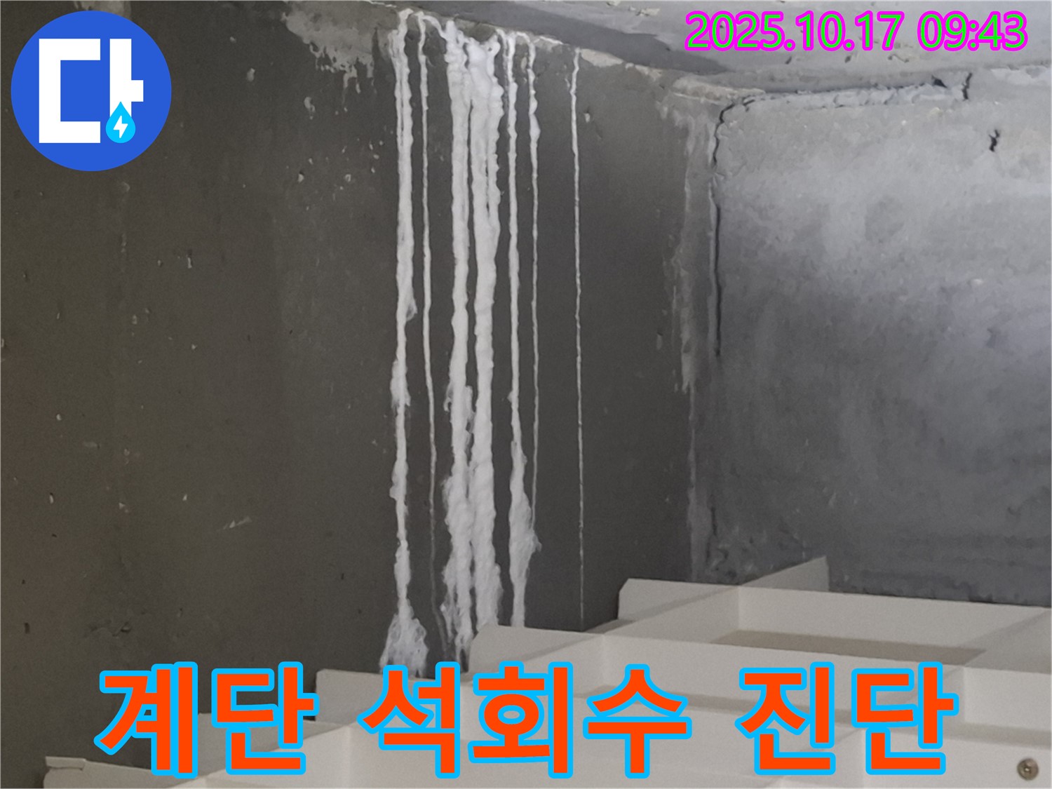 분당 봇들마을2단지 아파트 계단 석회수 누수 - 누수 진단
