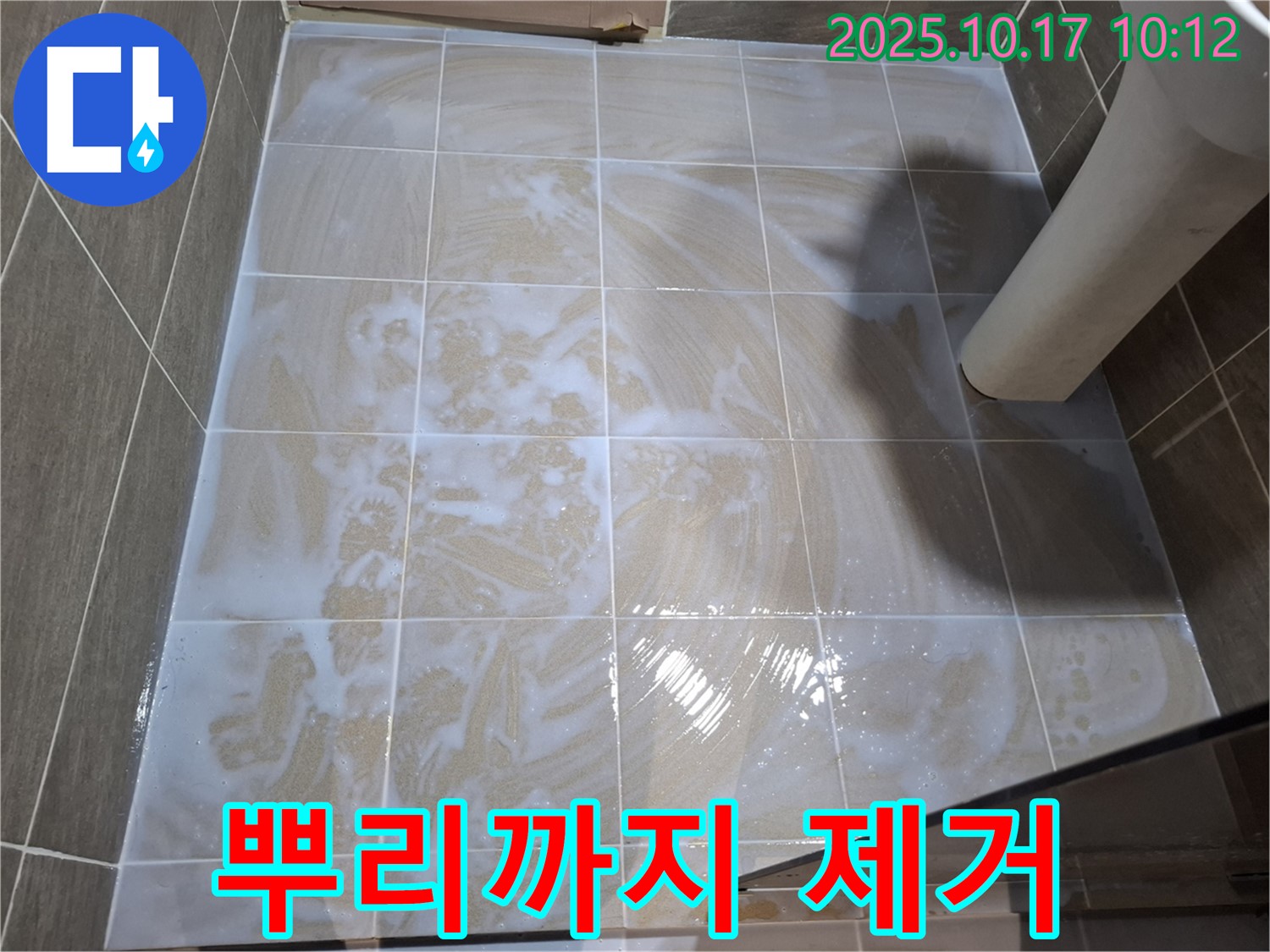 뿌리까지 제거 - 곰팡이 완전 박멸