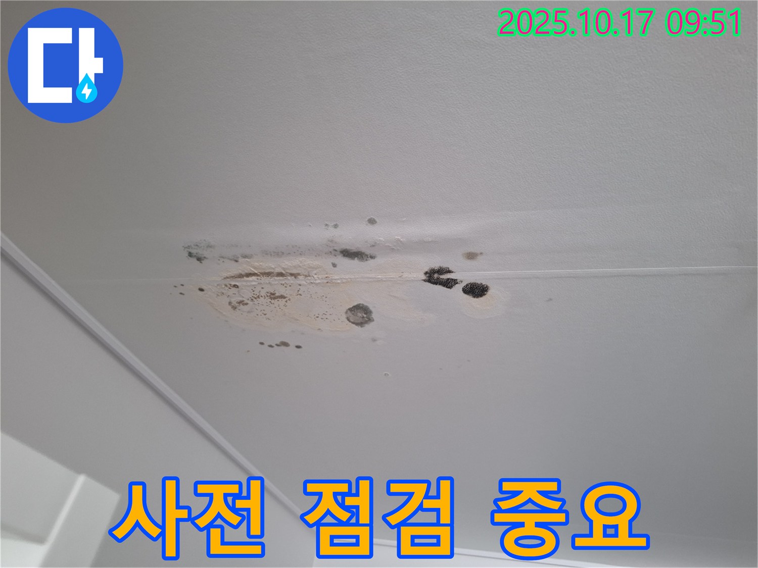 삼평동 누수 - 곰팡이 뒤덮인 천장 - 사전 점검 중요성 강조