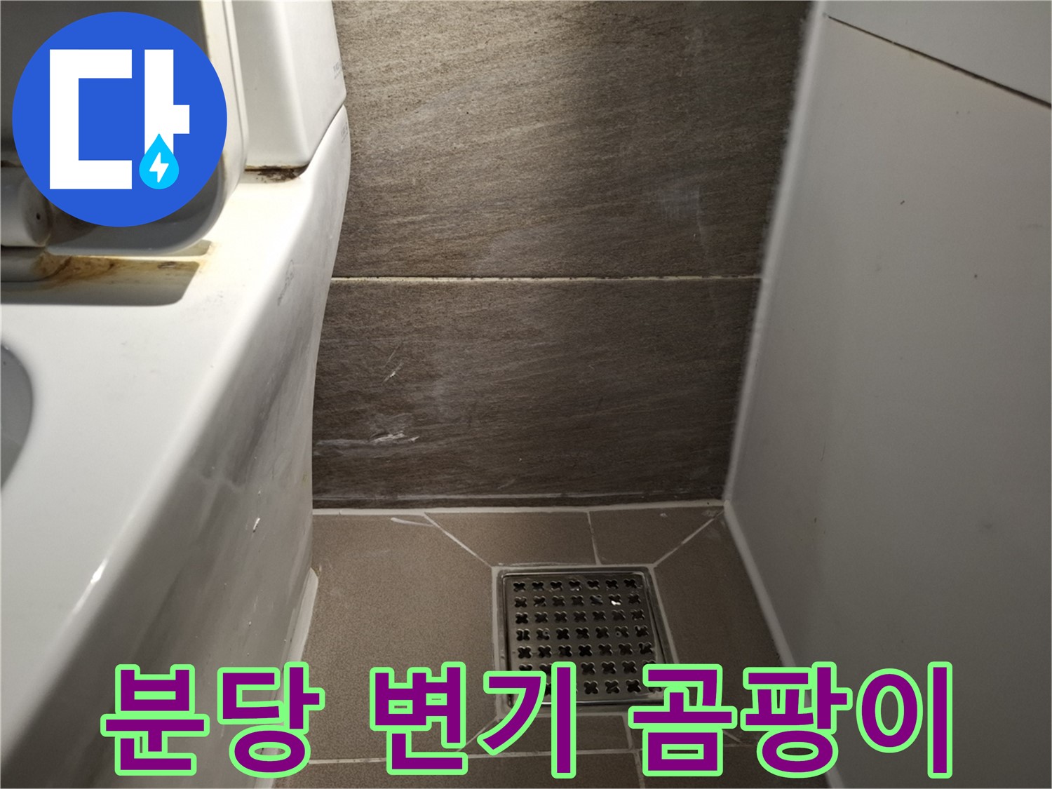 분당 변기 하부 백시멘트 곰팡이 - 누수와 악취 원인?
