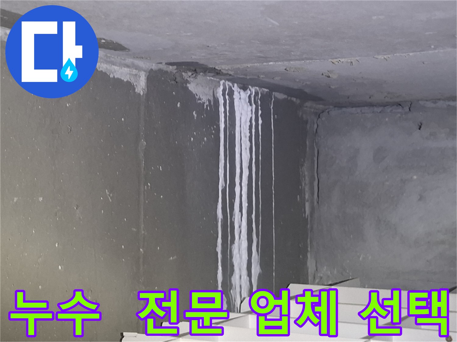 삼평동 아파트 누수 전문가 필요