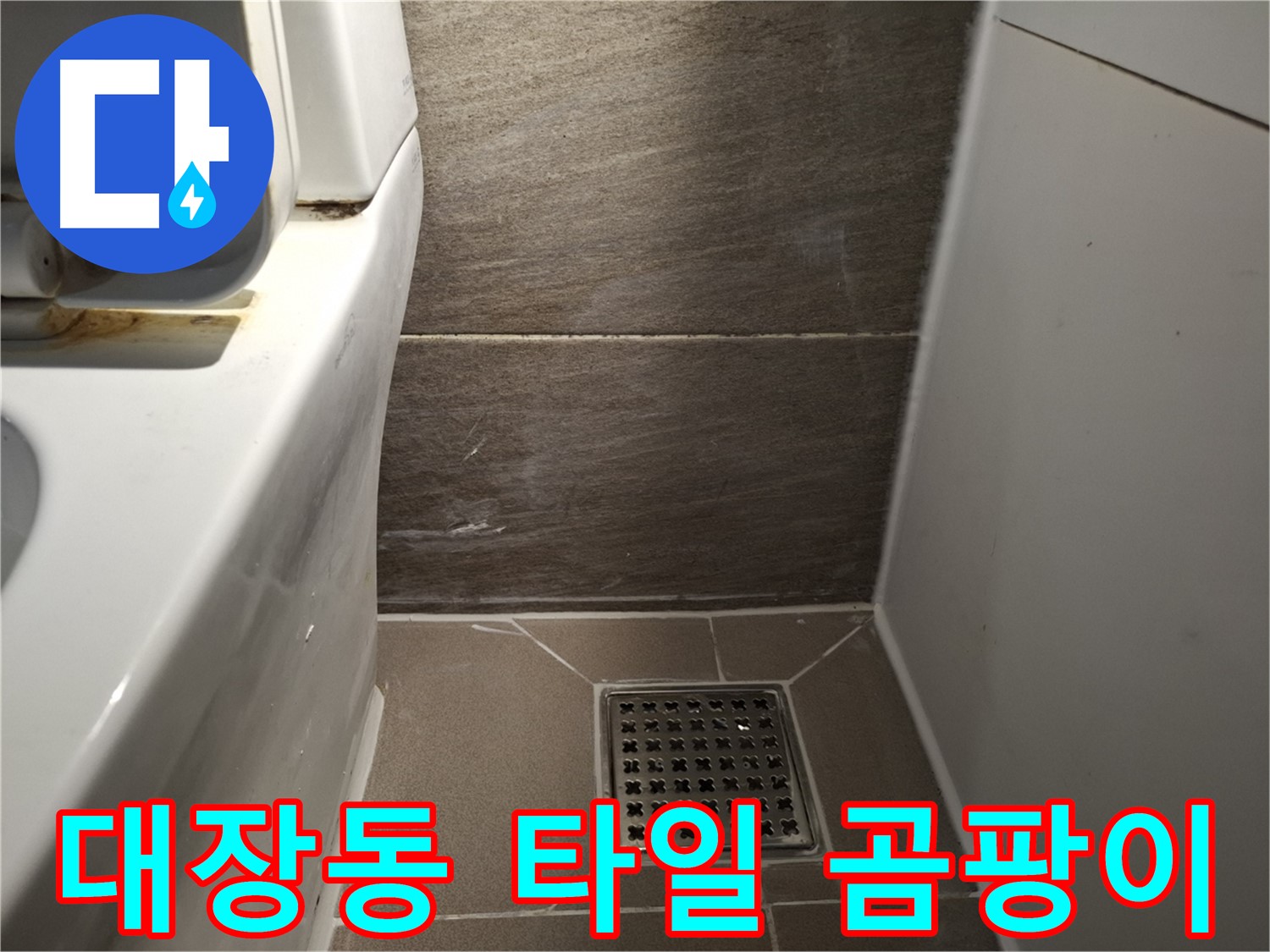 판교 대장동 변기 주변 타일 틈새 곰팡이 - 누수와 악취?