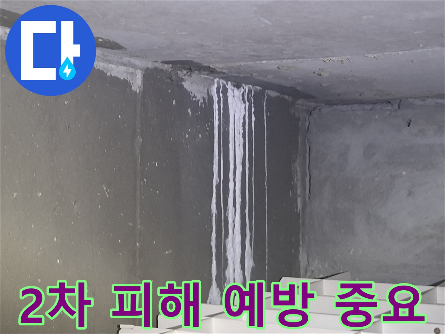 분당구 봇들마을 건물 계단 벽 누수 - 2차 피해 예방이 중요