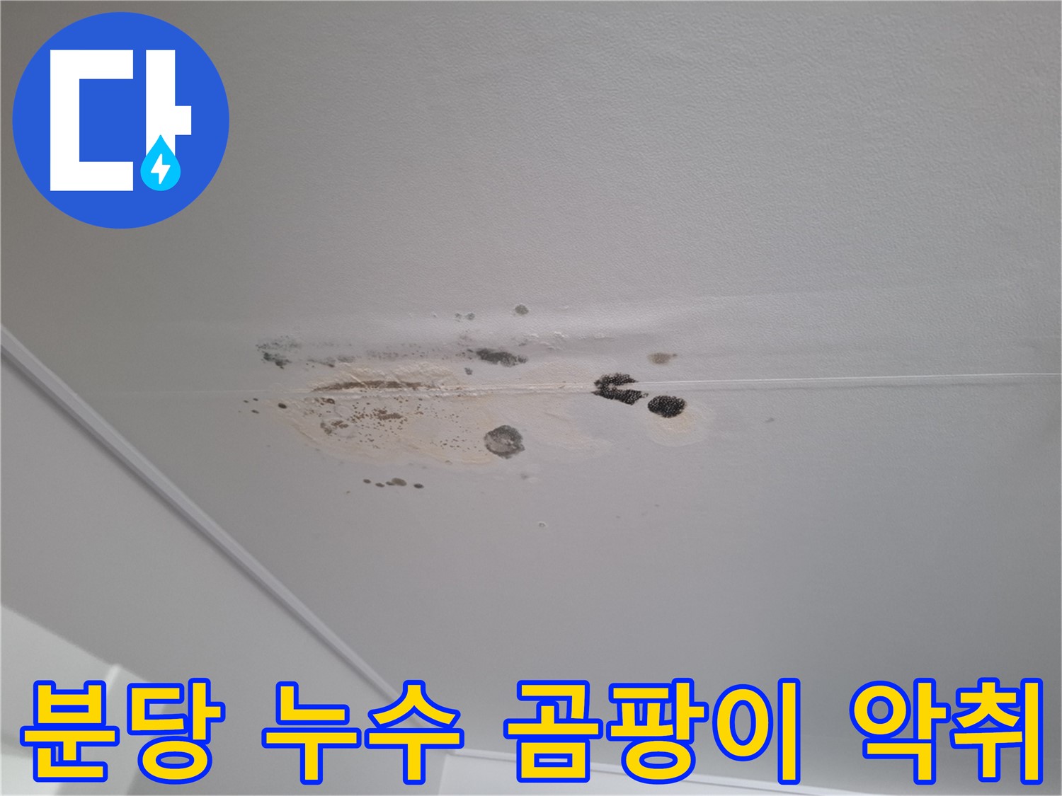 누수 곰팡이 악취 - 삼박자 콤보, 쾌적함 파괴자