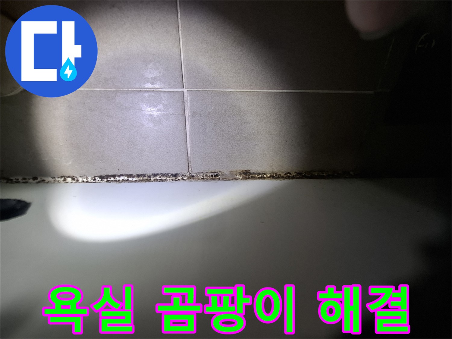 욕실 곰팡이 문제 - 전문가의 손길 필요
