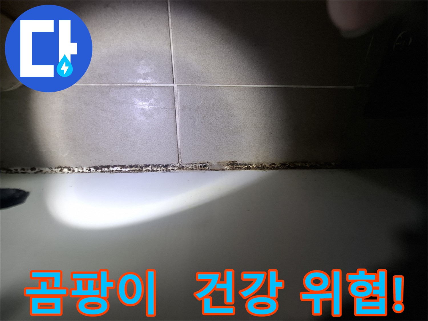 욕조 곰팡이 - 건강에 해로운 곰팡이, 빠른 제거가 필수!