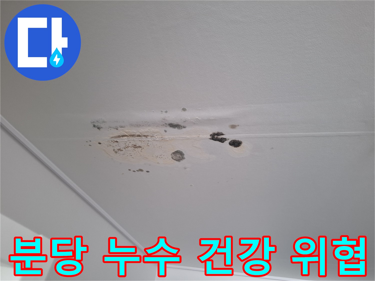천장 누수 - 곰팡이, 건강을 위협합니다!