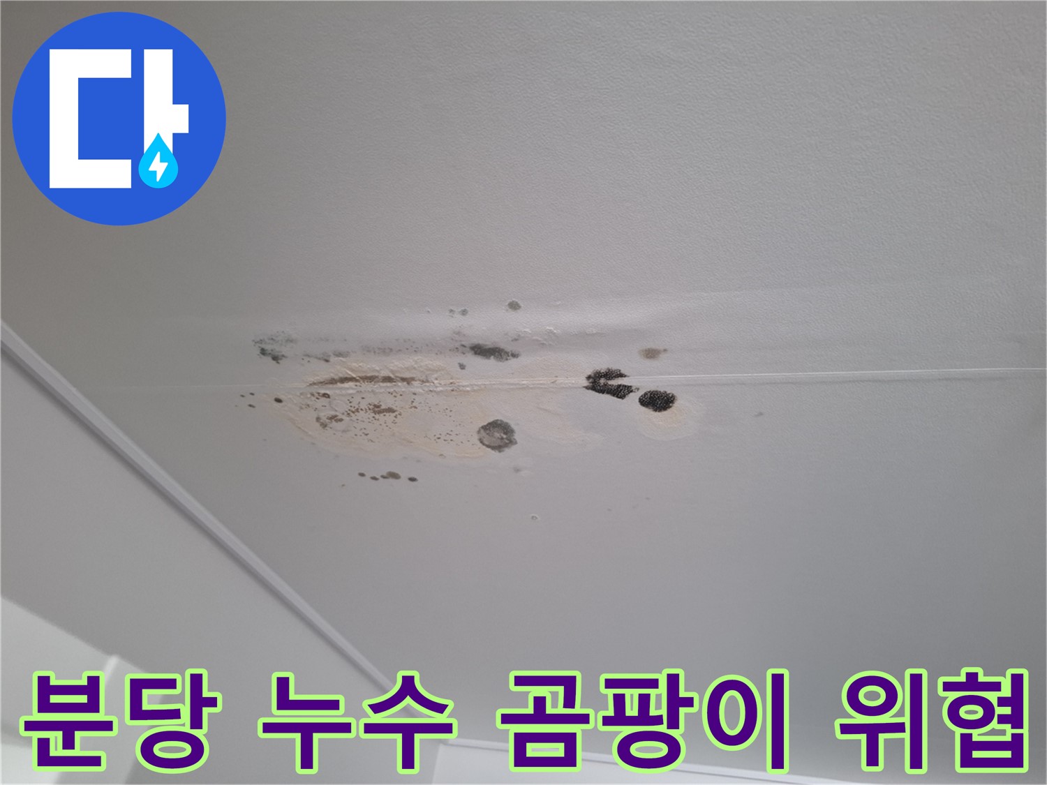 천장 누수 - 곰팡이, 건강을 위협합니다