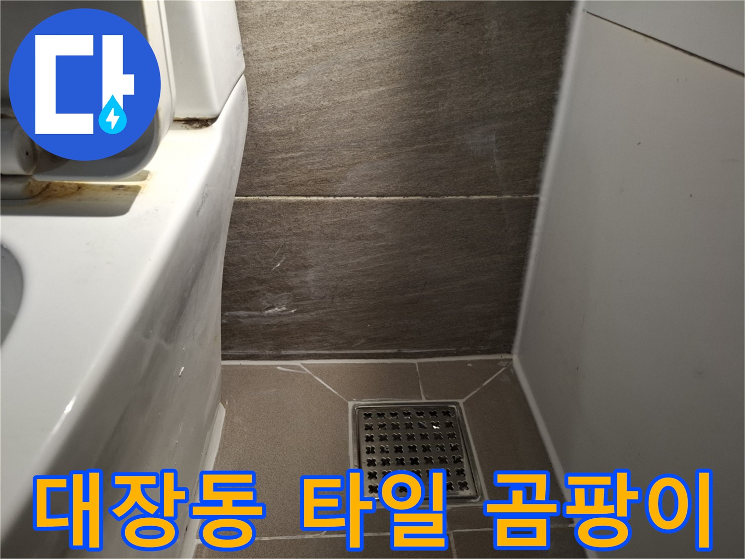 판교 대장동 변기 주변 타일 틈새 곰팡이 - 누수와 악취?