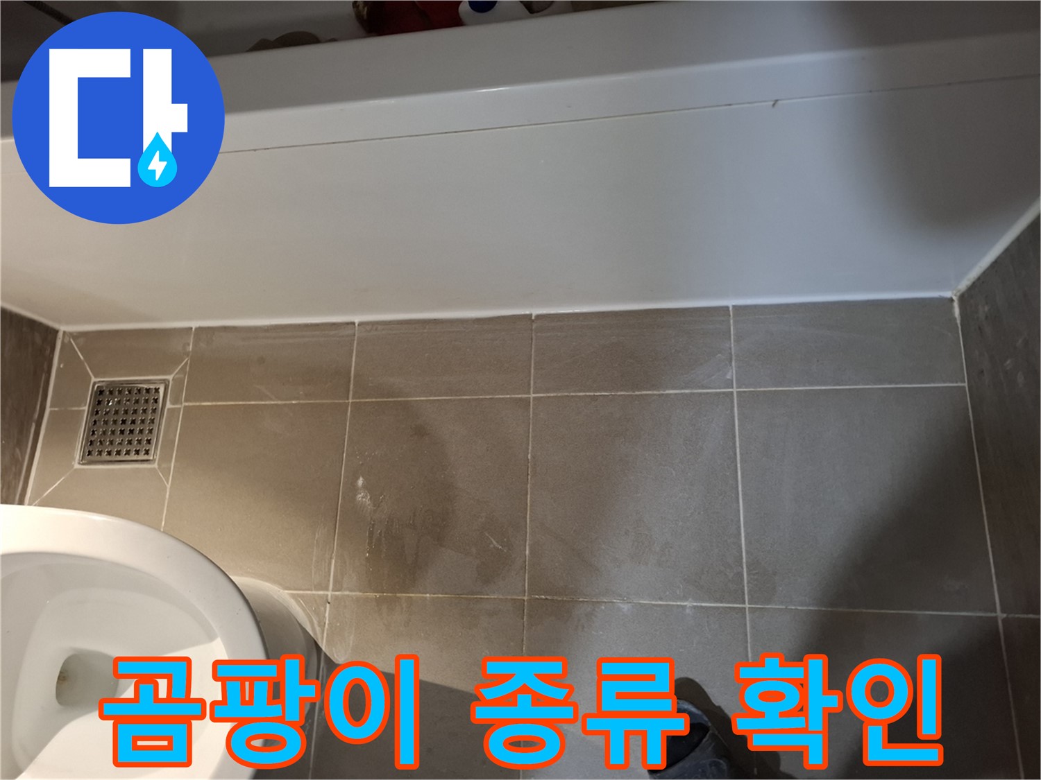 타일 틈새 곰팡이 종류 확인 - 맞춤 제거