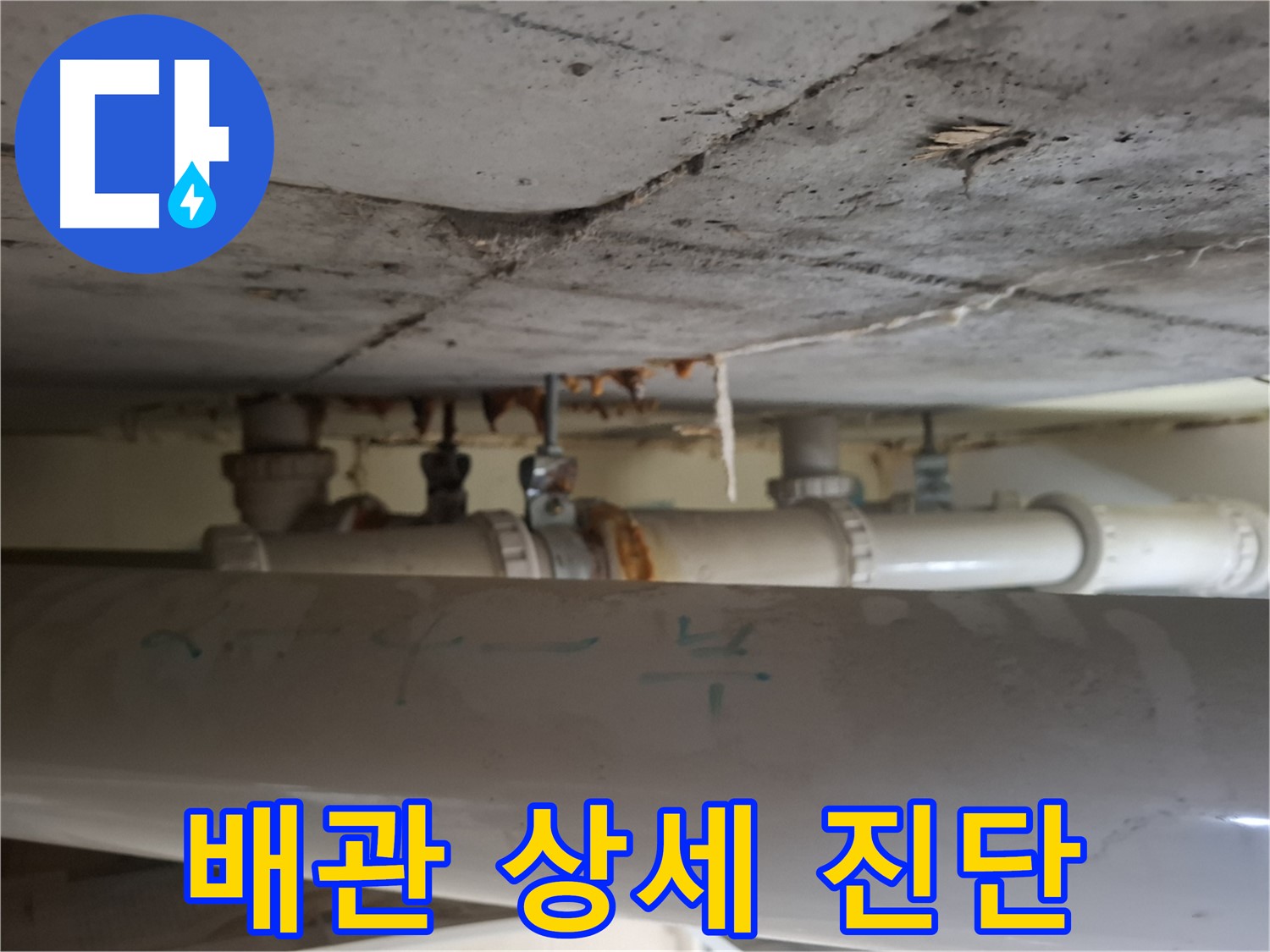 분당 정든마을 아파트 - 점검구 내부 배관 상태 상세 진단 및 조치