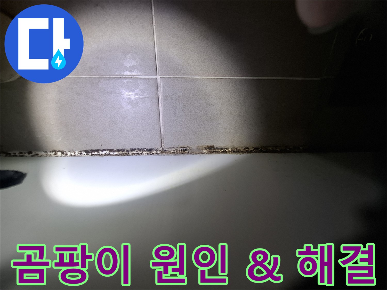 욕조 곰팡이 - 곰팡이 발생 원인 분석 및 해결 방법 제시
