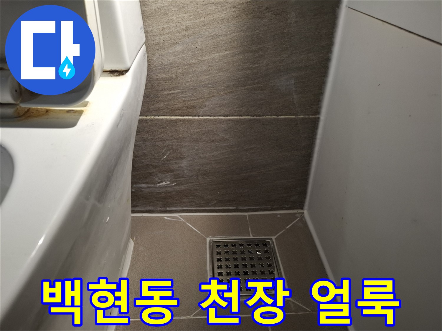 판교 백현동 천장 얼룩 - 윗집 누수 의심