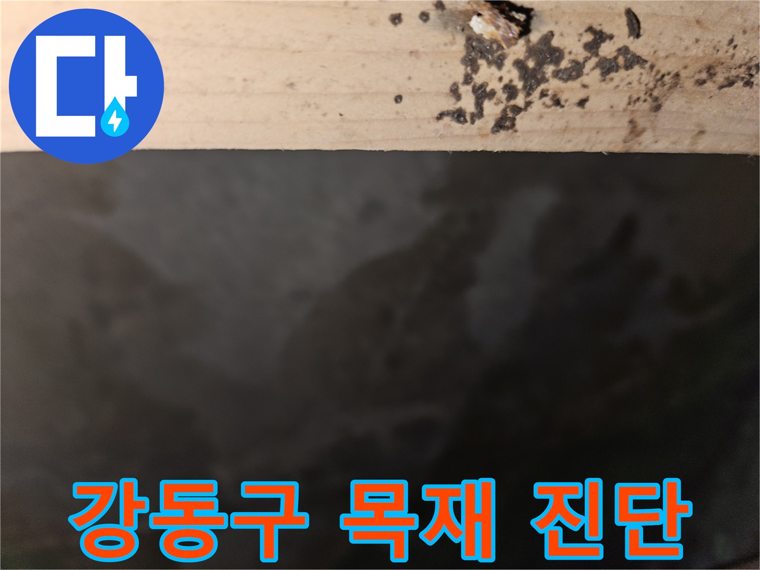 강동구 누수 - 목재 부식 원인 진단 - 확실한 해결 약속